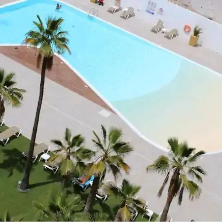 431 By Casas Cocodrilo