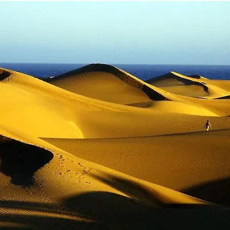 431 By Casas Cocodrilo Appartamento Playa del Inglés