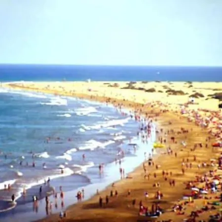 431 By Casas Cocodrilo