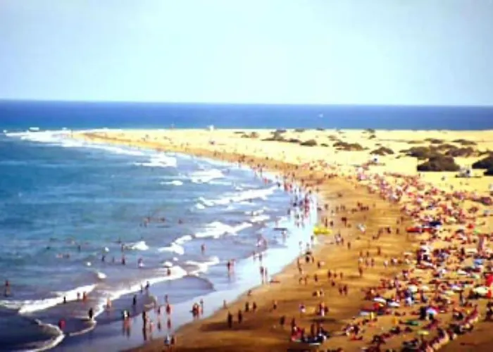 431 By Casas Cocodrilo